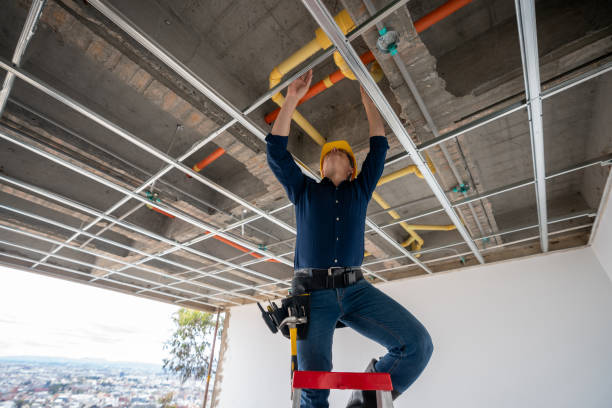 Best Plumbing Inspection Services  in Stock Island, FL